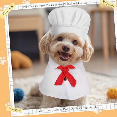 Disfraz Chef para Perro Pequeño Abbylike miniatura 4