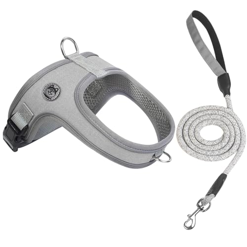 Dog Harness and Leash Set, No Pull Saddle Style Pet Harness, Brea...
