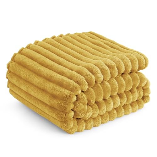 Bedsure GentleSoft Honey Fleece Blanket for Couch - Cozy Soft Blankets for Women, Cute Small Throws for Girls, 60x80 Inches
