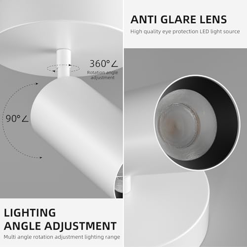 Image of Spotlight Indoor Ceiling LED Light,1 Light 20W Modern Spot Light Fixtures 4000K White Accent 300Adjustable Picture Painting For Living Room Bedroom Hallway Gallery Flush Mount Directional Lighting