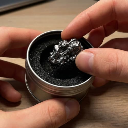 Makai echter Meteorit Sternschnuppe Campo-del-Cielo-Meteorit mit Echtheits-Zertifikat & Box mit Sichtfenster (runde Box mit Zertifikat)