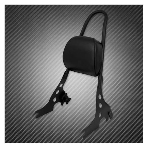 Coussin de dossier moto amovible avec sissy bar Sportster 883