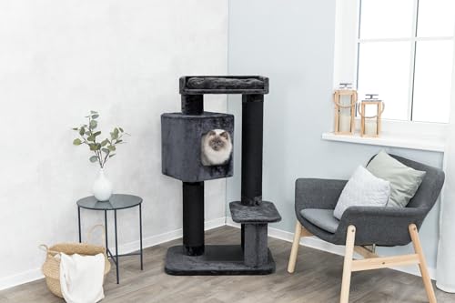 Arbre à chat XXL Trixie Izan anthracite stable pour chat lourd - 7