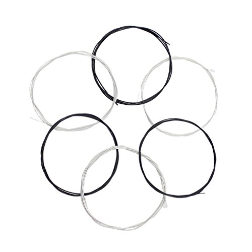 6 NVbNM^[p AR[XeBbNM^[/tH[NM^[/NVbNM^[phKiCM^[