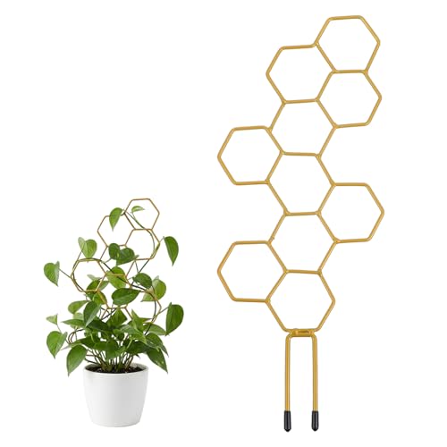 PEOVLVN Small Trellis for Potted Plants 14 Inch Indoor Trellis for Climbing Plants Honeycomb Shape Metal Plant Trellis for Pots Plant Climbing Support for Flower Hoya Pothos Houseplants