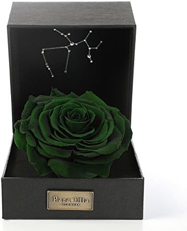 PARA ELLA 5" Handmade Forever Flower and Preserved Rose with Constellation Sign (Sagittarius 22nd Nov to 21st Dec), Best Anniversary, Birthday for her