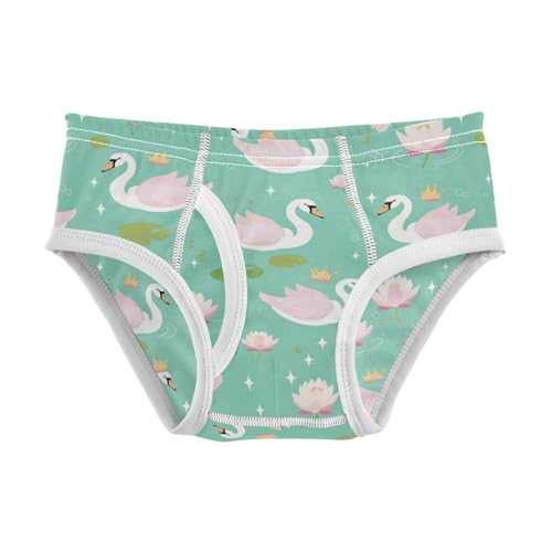 Wusikd Green Swans Crowns Boys' Underwear Cotton Pink Boys Briefs Soft Toddler Underwear 2T