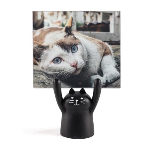 ̃JtȔL̎ʐ^ J[gD[LX^h^z_[