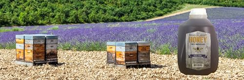 3lb Treasure Valley Honey Raw Unprocessed Fresh miniatura 5