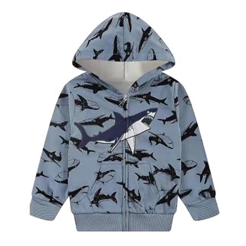 Boys Zip Up Hoodie Cute Cartoon Graphic Sweatshirts Long Sleeve Warm Pullover Tops Toddler Boys Hoodies Fall Coat