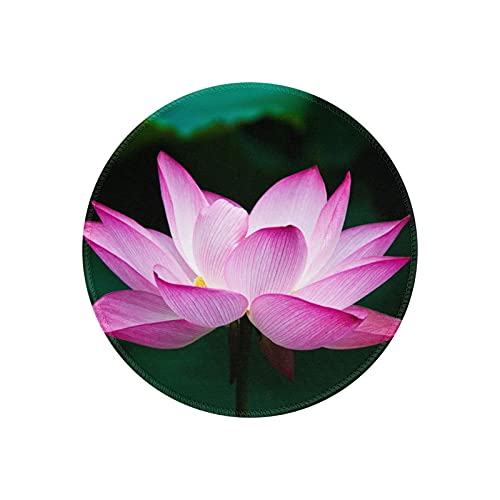 }EXpbh ی^ @  ʐ^ sN  h ~ S Q[~O}EXpbh m[gp\R PC Eh}EXpbh fXN}bg ϋvǂ ItBXp rWlXp ƒp Q[p ~` 20cm