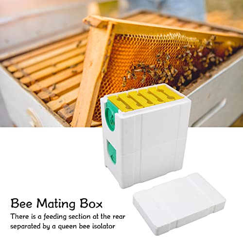 Ruche mousse abeille reine à 10 cadres double couche pour élevage