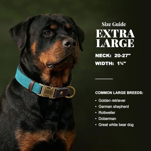 Image of Personalized Dog Collars, Quick Release Buckle, Light Blue,XL