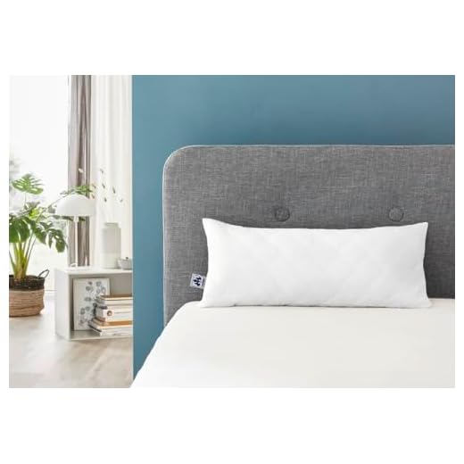 Badenia Bettcomfort Kissen, Irisette Noblesse 40 x 80 cm, Öko Tex zertifiziert, weiß, Deutsches Markenprodukt 6 Badenia Bettcomfort Kissen, Irisette Micro Thermo 40 x 80 cm Öko Tex zertifiziert, weiß, Deutsches Markenprodukt