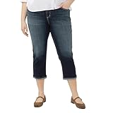 Silver Jeans Co.