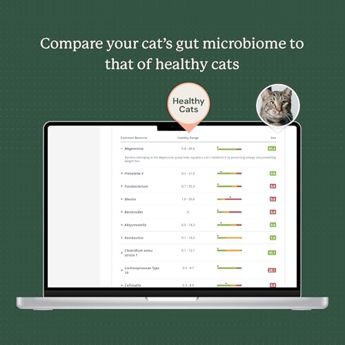 Image of AnimalBiome Cat Gut Health Microbiome Analysis Kit - Kitty Biome Gut Testing Kit, Feline Fecal Analysis for Digestive Issues, Diarrhea & Allergy Insights w /Personalized Report (Cats Outside US)