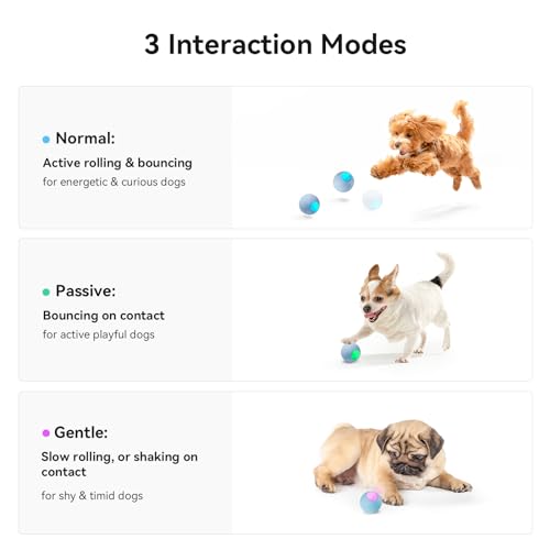Cheerble-Smart-Interactive-Dog-Toy-Wicked-Ball-SE-Automatic-Moving-Bouncing-Rotating-Ball-Active-Rolling-Ball-for-Toy-and-Small-Dogs-Peppy-Pet-Ball-with-Lights-Fun-Birthday-Gift-Blue