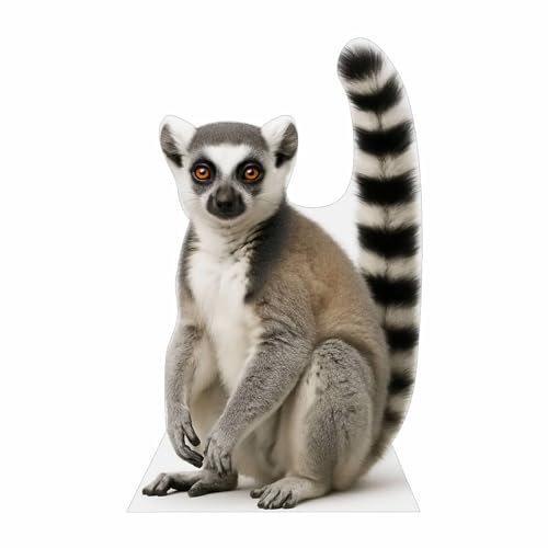 Image of Ring-Tailed Lemur 3FT Life Size Cardboard Cutout - A Fun Animal Standup for Photo Booths, Birthday Parties, and Events