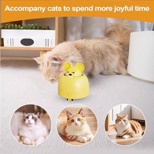 Souris jouet pour chat rechargeable pour stimuler son exercice - 4