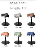 宮武製作所 プロポーションスツール（ロータイプ）の商品画像