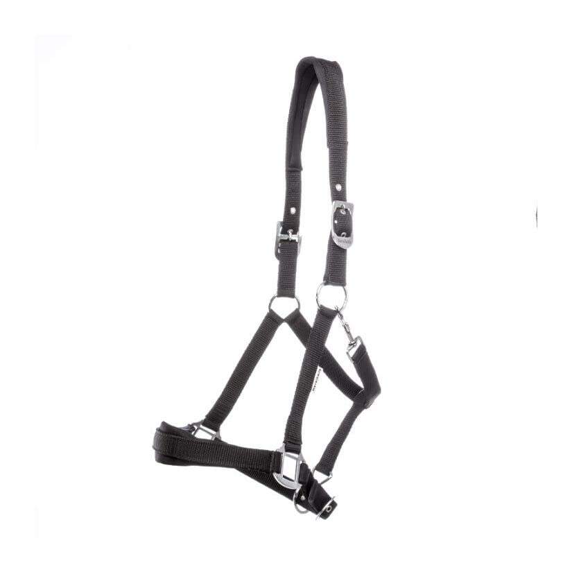 Licol pour cheval Kavalkade Classic-Simple en nylon Perlon résistant