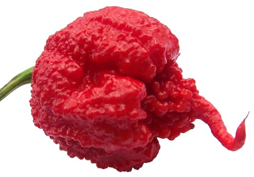 Carolina Reaper HP22B Pepper Premium Seeds for Planting Packet Record Hottest in The World