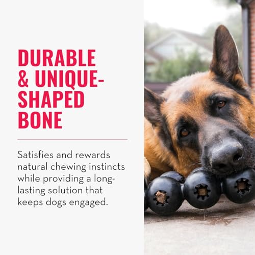KONG Extreme Goodie Ribbon - Befüllbares Hundespielzeug aus Naturkautschuk - Für Mittelgroße Hunde