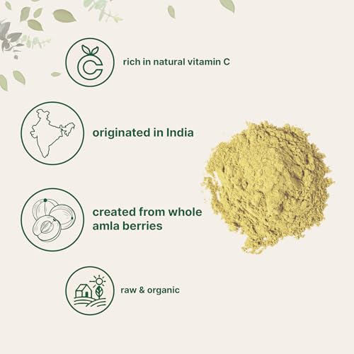 Micro Ingredients Organic Amla Powder