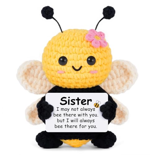 Gleevera Sister Birthday Gifts, Sister Gifts from Sisters Brother, My