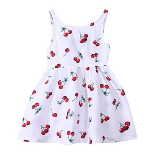 [veolaimy] q m[X[u s[X LbY ̎q   ʋC Wp[XJ[g K[Y ؍  vZXhX  vg 킢 hX WjA lC  ʊw ʉ i ][g Mtg(x[W