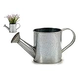 Regadera Ibergarden S3606088 Regadera Zinc, Plateado