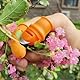SGERUFZ 10erSet Daumenmesser aus Silikon,Fingermesser Ernte Werkzeug,Messer Separator mit Silikon-Fingerschützer,Gartenarbeit Gadget,Obst Pflanzen Pflücker für Obst Gemüse Trimmen Pflanzen,Zwei Größen