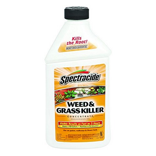 Image Southern Lawn Weed Killer for St. Augustine Grass and Centipede