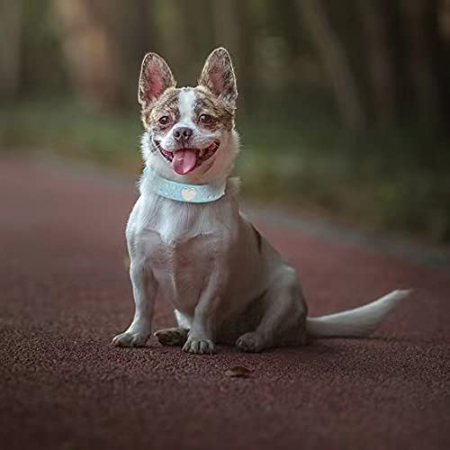 Ewanda Store Cute 2 Rows Rhinestone Bling Heart Studded Leather Dog Leash Dog Collar For Small Or Medium Dog Pet,Blue,Xs #TOP2