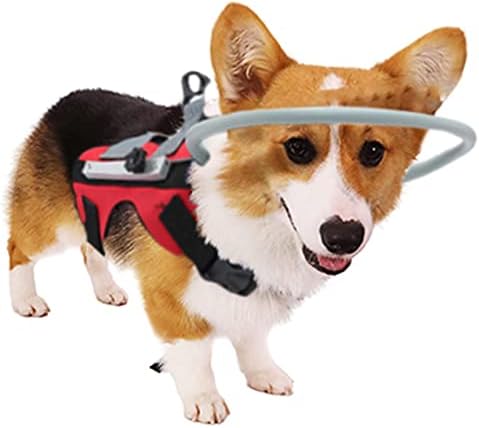 Arnés Halo para Perros Ciegos - Collar para Mascotas Con Mala Visión - Círculo Anticolisión para Caminar al Aire Libre - Rianpesn