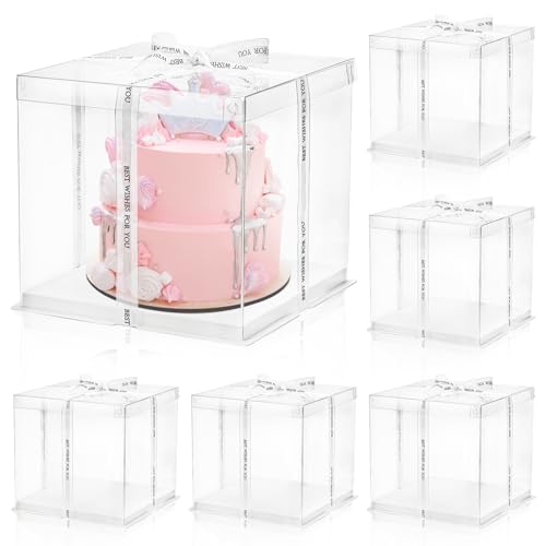 Cididu 6 Pcs Clear Cake Box with Ribbon 2-Layer 10x10x10 Inch, Tr...