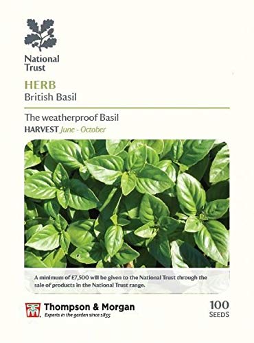 Thompson & Morgan National Trust Range - Vegetable - Herb British Basil - 100 Seed