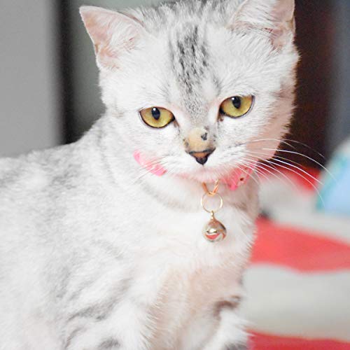 Image of Breakaway Cat Collars with Bell, Set of 3, Durable & Safe Cute Kitten Collars Safety Adjustable Kitty Collar for Cat Puppy 7.5-11in (Gray,Pink,Blue)