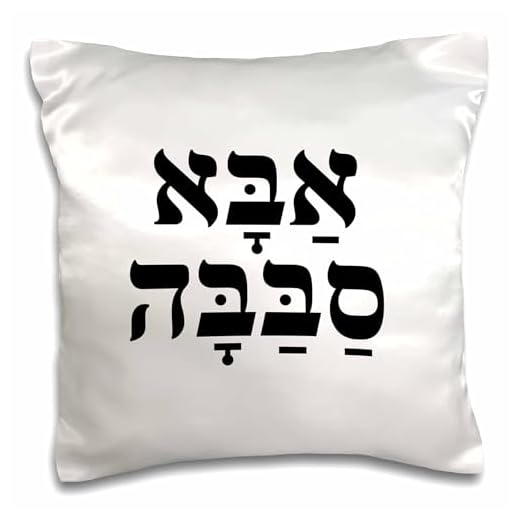 3dRose Aba Sababa - Cool Dad in Hebrew - Funny Ivrit Rhyme for Jewish Father 16x16 inch Pillow Case