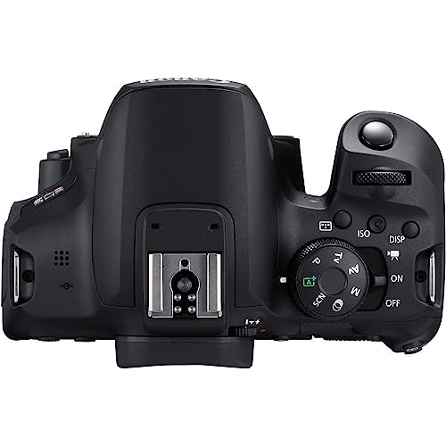 Canon EOS Rebel T8i Body, preto