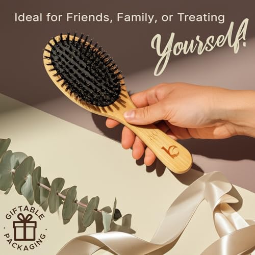 Boar Bristle Hair Brush for Women and Men, Natural 100% Soft Boars Hairbrush for Fine and Thin Hair - Image 7