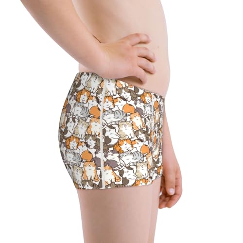 Boys' Cotton Boxer Brief Soft Underwear-Cartoon Cat 12