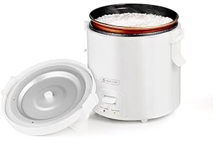 Zojirushi Mini Rice Cooker, the Perfect Travel Companion