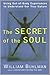 The Secret of the Soul: Using Out-of-Body Experiences to Understand Our True Nature