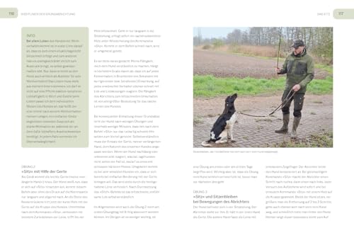 Der Jagdgebrauchshund: Erfolgreiche Jagdhunde Ausbildung. Erziehen – Abrichten – Führen (BLV Jagdhunde)