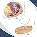 Human Brain Model for Neuroscience, Brain Model Labeled with Study Guide, Anatomy Model for Science Education Study Display