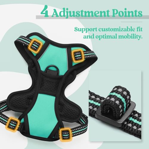 Image of rabbitgoo Dog Harness No Pull with 2 Leash Clips, Adjustable Soft Padded, Reflective Oxford No Choke Pet Vest with Easy Control Handle for Puppy, Turquoise, XS