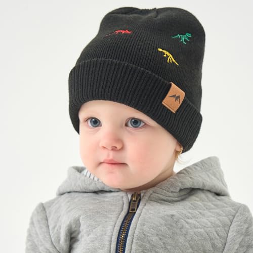 Image of XIAOHAWANG Knit Toddler Beanies Girls Boys Cute Kids Winter Hat Infant Dinosaur Baby Beanie Hats