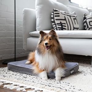 Diggs Snooz Memory Foam Dog Bed - Ideally Sized Revol Dog Crate Pad - Premium Orthopedic Pet Bed for Crate or Home - Grey, Medium Diggs Snooz Memory Foam Dog Bed Ideally Sized Revol Dog Crate Pad Premium Orthopedic Pet Bed for Crate or Home Grey Medium