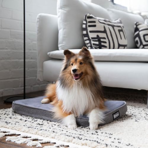 Diggs-Snooz-Memory-Foam-Dog-Bed-Ideally-Sized-Revol-Dog-Crate-Pad-Premium-Orthopedic-Pet-Bed-for-Crate-or-Home-Grey-Medium Diggs Snooz Memory Foam Dog Bed Ideally Sized Revol Dog Crate Pad Premium Orthopedic Pet Bed for Crate or Home Grey Medium